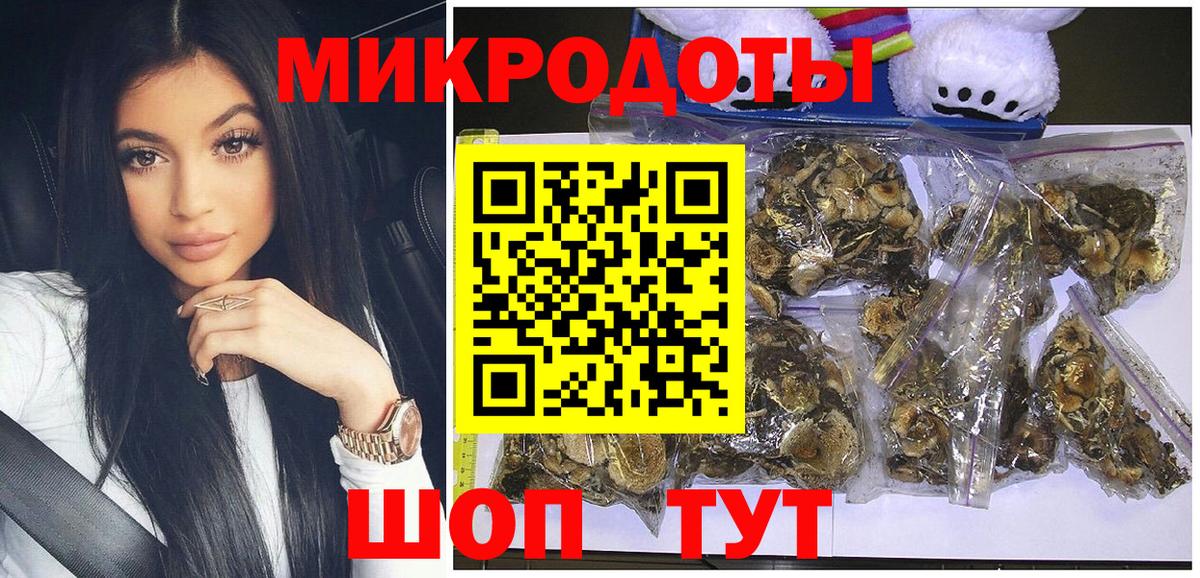 Кемерово  Псилоцибиновые грибы GOLDEN TEACHER  Псилоцибиновые грибы Psilocybe  Вход с VPN 