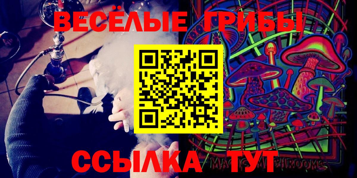 Псилоцибиновые грибы Psilocybine cubensis Кемерово